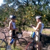 Stopping for Oranges on a training ride